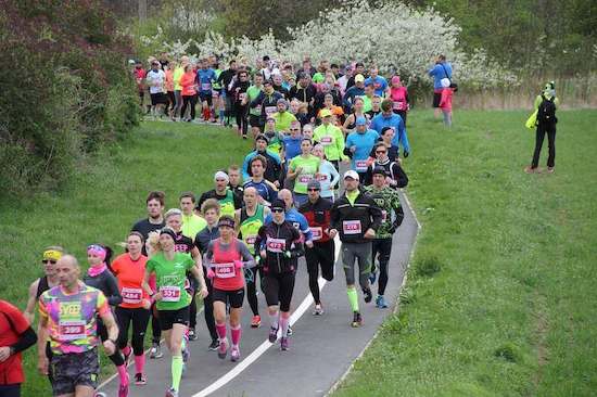 Žatecký půlmaraton